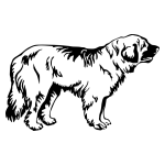 Leonberger 001 matrica kép