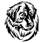 Leonberger 002 matrica kép