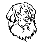 Leonberger 003 matrica kép