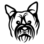 Yorkshire 06 matrica kép